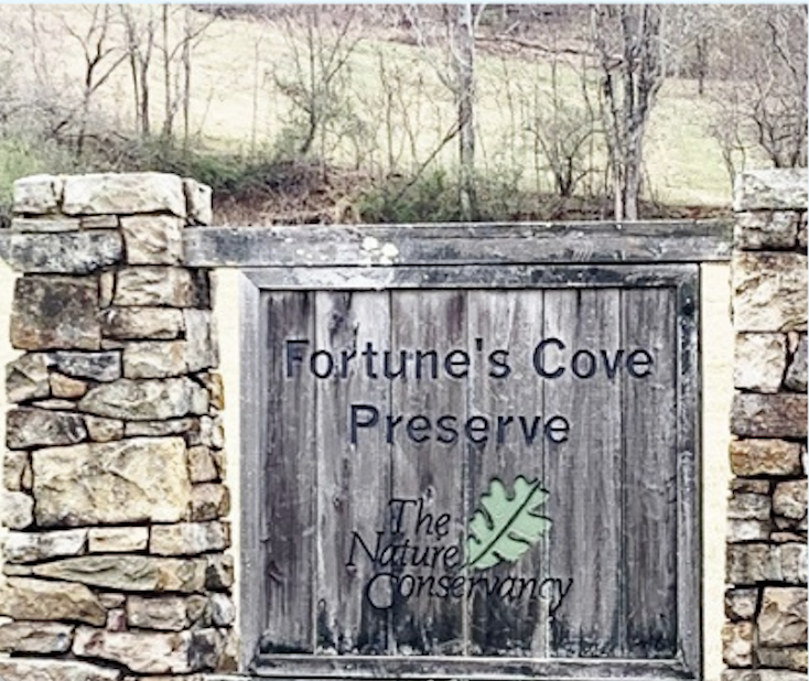 Wooden sign identifying Fortune's Cove Nature Preserve and The Nature Conservancy